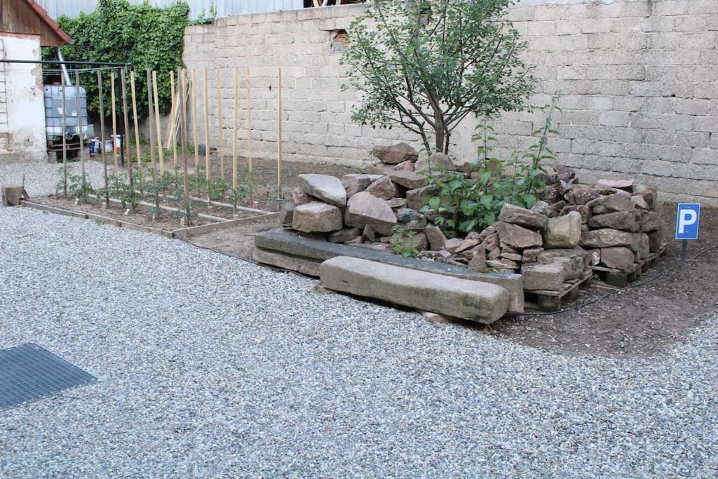 Ebersheim Spacieux Duplex 1 A 6 Personnes מראה חיצוני תמונה