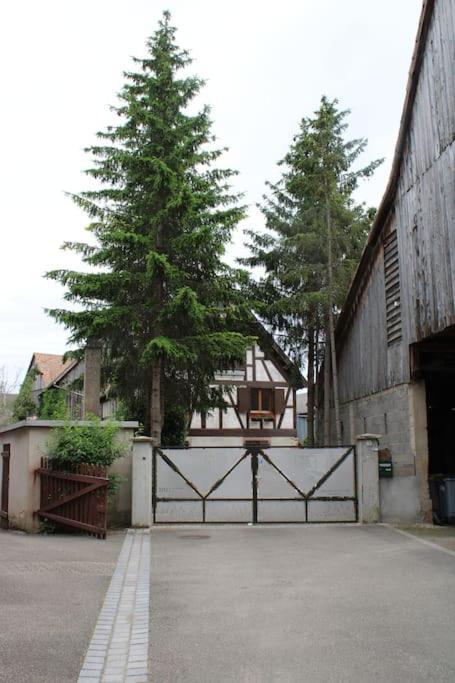 Ebersheim Spacieux Duplex 1 A 6 Personnes מראה חיצוני תמונה